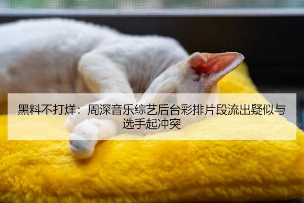 黑料不打烊：周深音乐综艺后台彩排片段流出疑似与选手起冲突